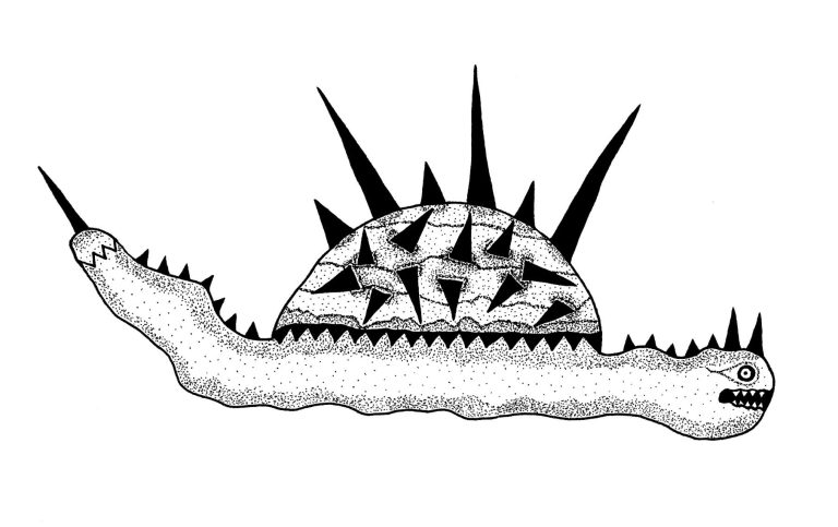 Snailpunk logo and link to artist and webdesigner website A stylised creature resembling a turtle with spikes and a snake-like body.